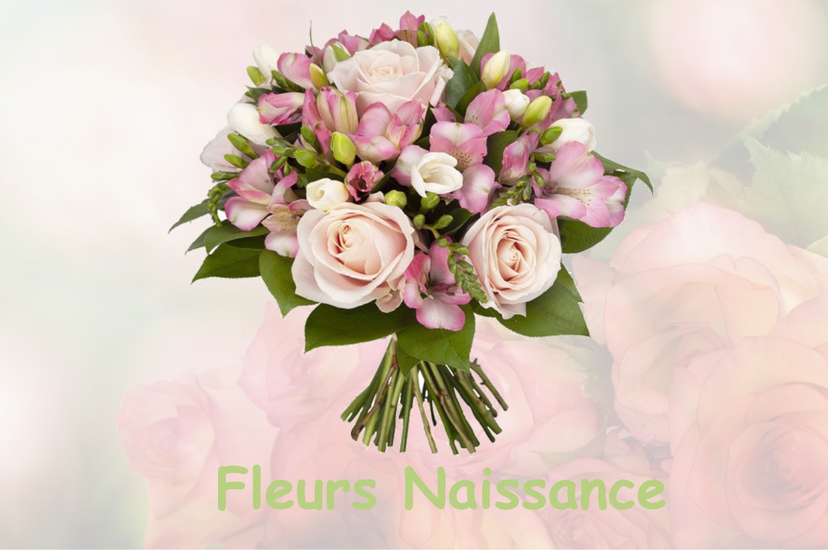 fleurs naissance SAINT-GILLES-PLIGEAUX